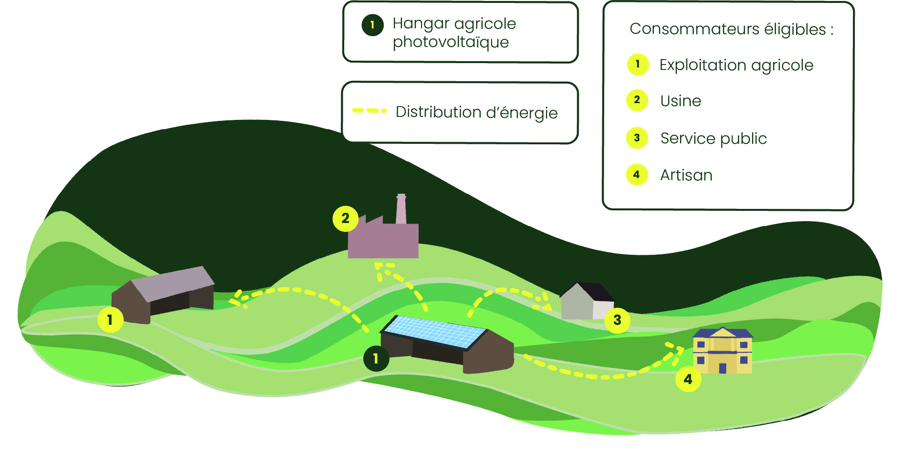 schéma autoconsommation collective
